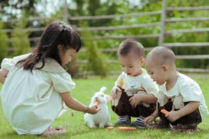 kids, rabbit, nature, children, outdoors, picnic, bunny, animal