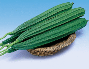 BALANCE YOUR MIND WITH AYURVEDA xvbb642c