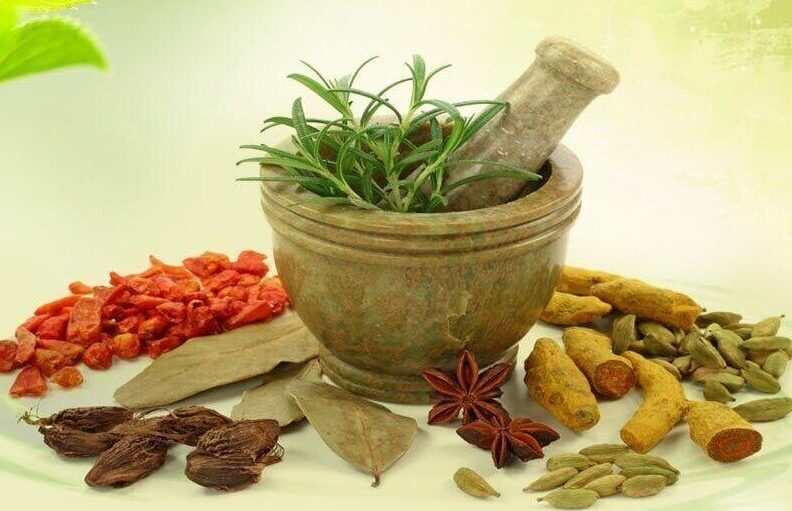 cropped cropped cropped 4723345 2.jpg