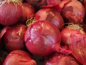 THINGS I TRIED TO PREVENT HAIR FALL red vegetable onions, vegetable onion, onion, market, vegetables, food, red, violet, shell, onion, onion, onion, onion, onion