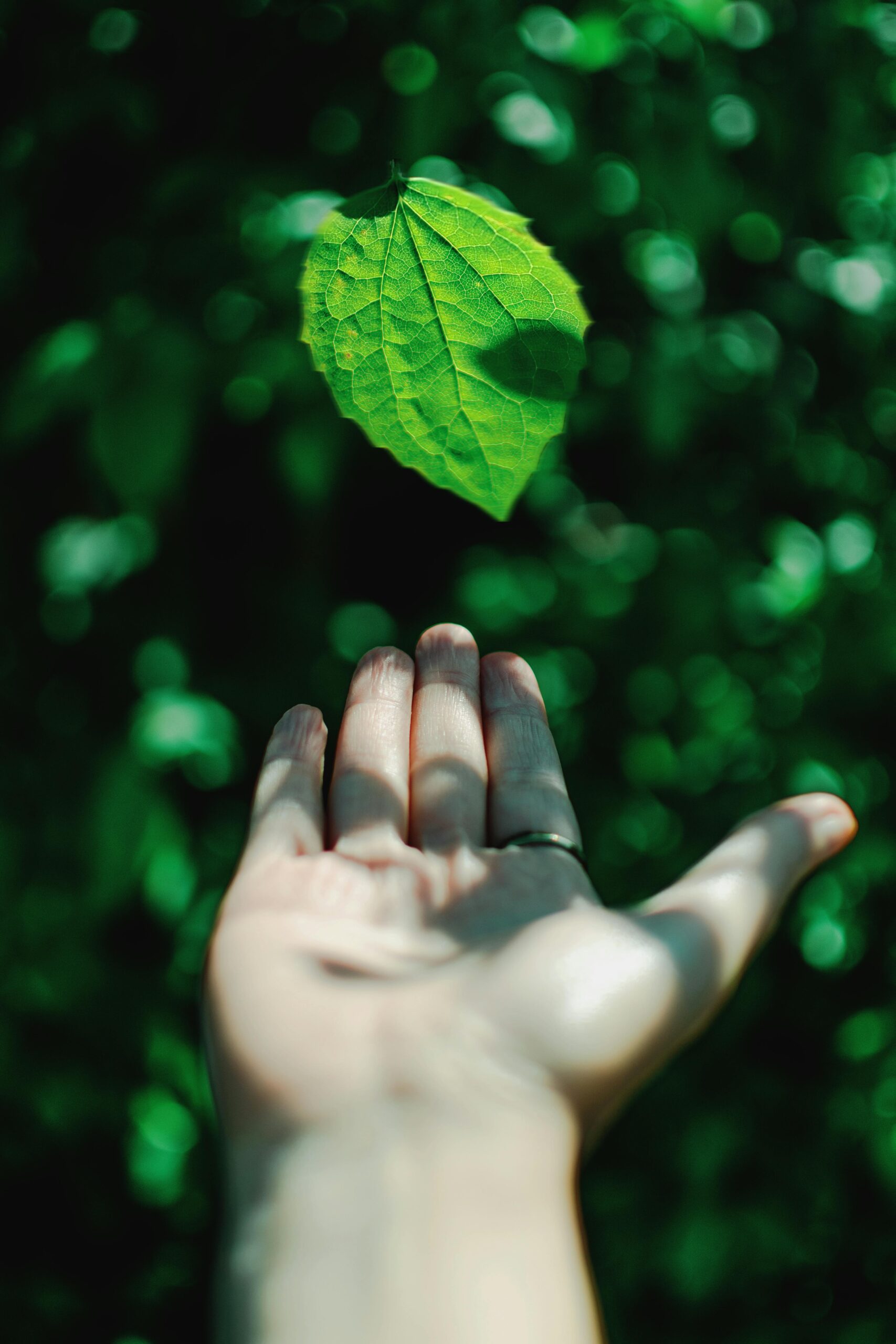 Close-up of a hand reaching out to a green leaf, showcasing nature
