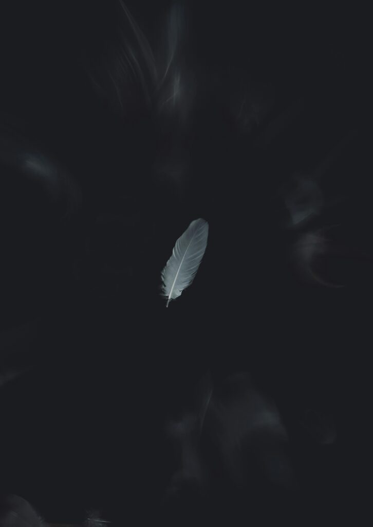 A solitary white feather gracefully falls on a dark minimalist background, creating a serene aesthetic.